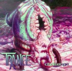 Trance (GER) : Metamorphosis Vol.4 (Challenge)